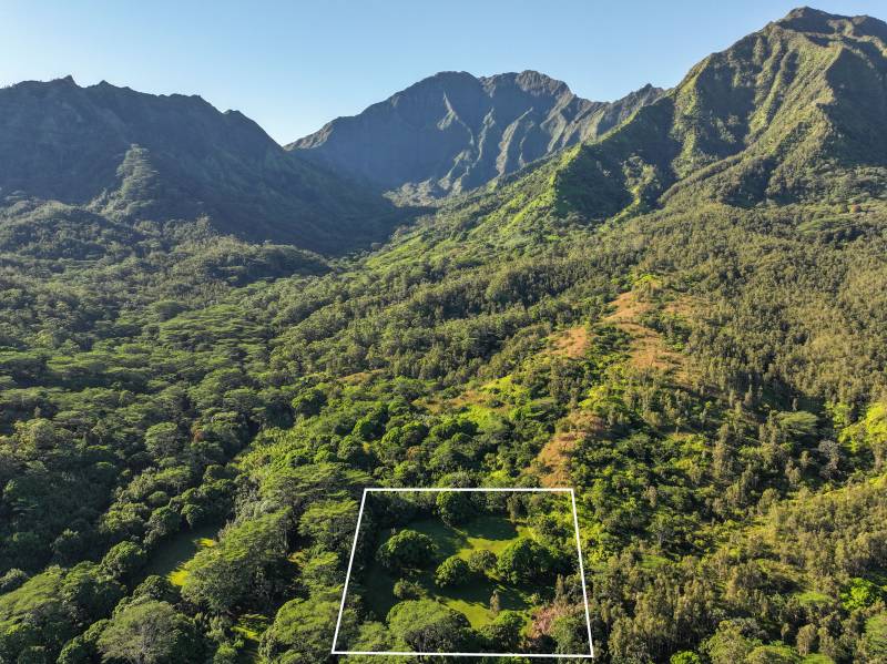 lot lines of hanalei land for sale