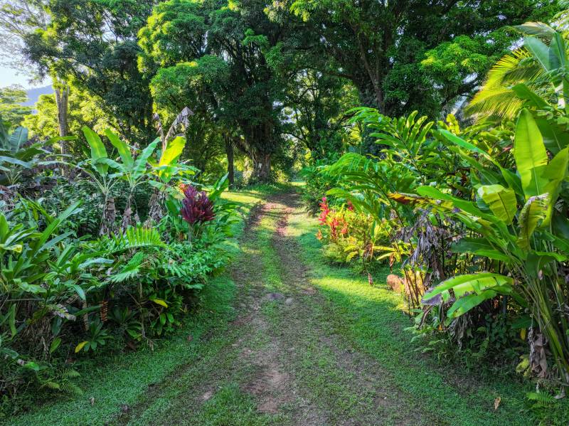 hanalei kauai land