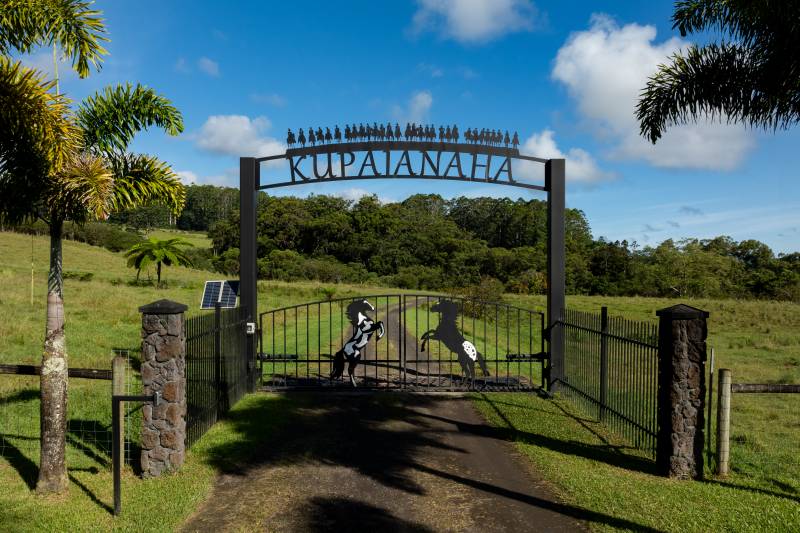 kupaianaha ranch land for sale on big island hawaii