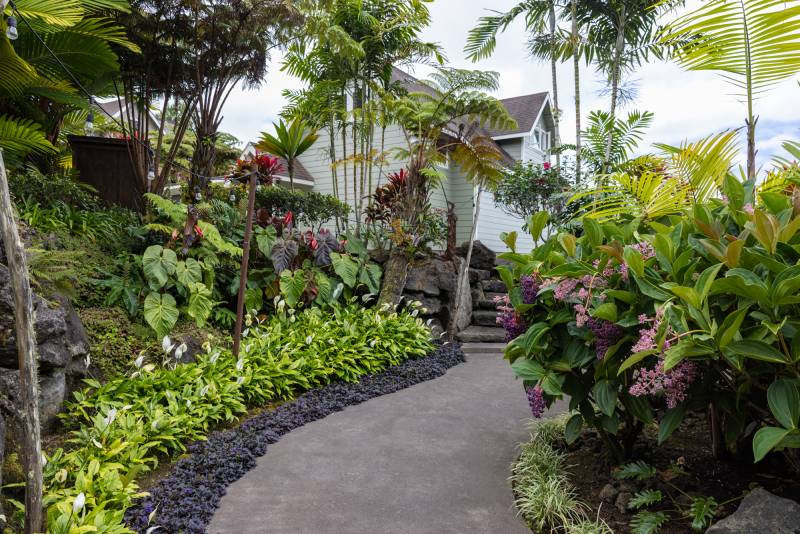 lush pathway to luxury home on big island hawaii