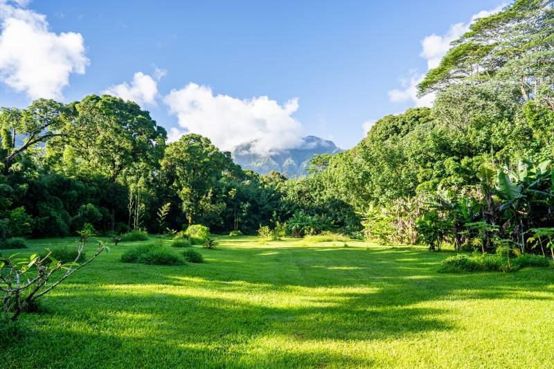 coffee farm for sale on kauai