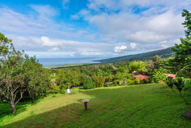 big island farm and ocean view