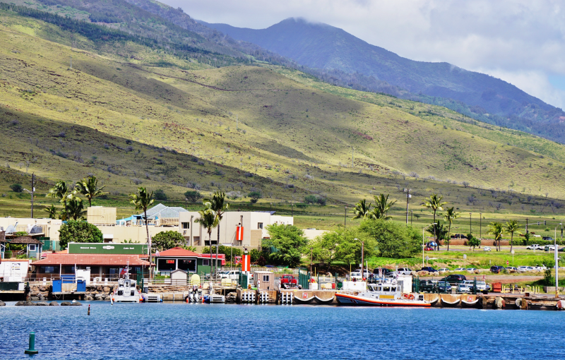 maalaea harbor maui