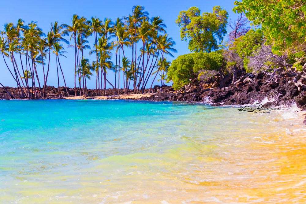 peaceful blue water beach in hawaii