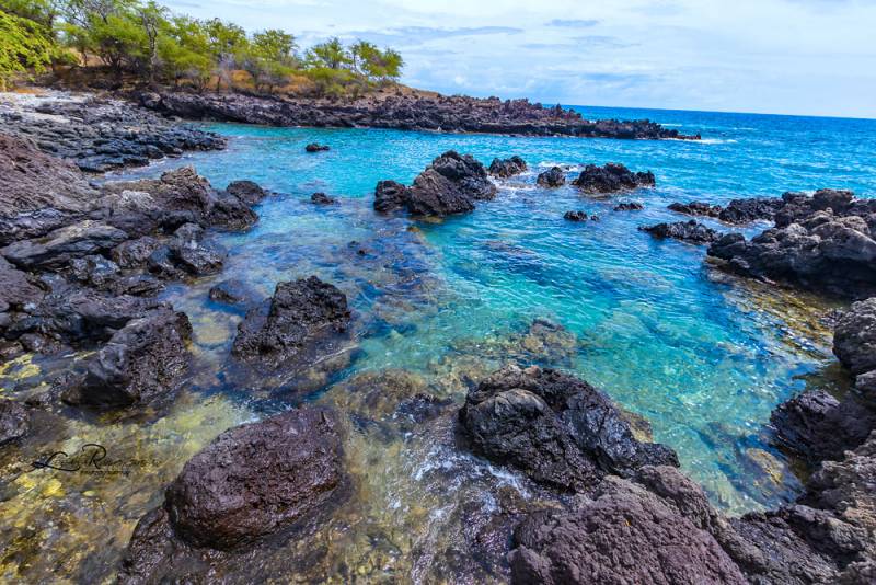 hawaii island rocky shore