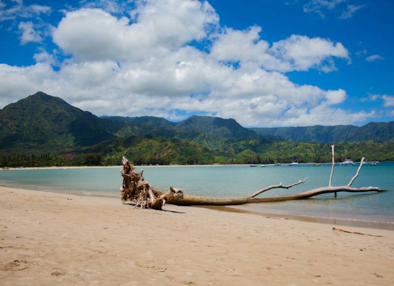 kauai beach