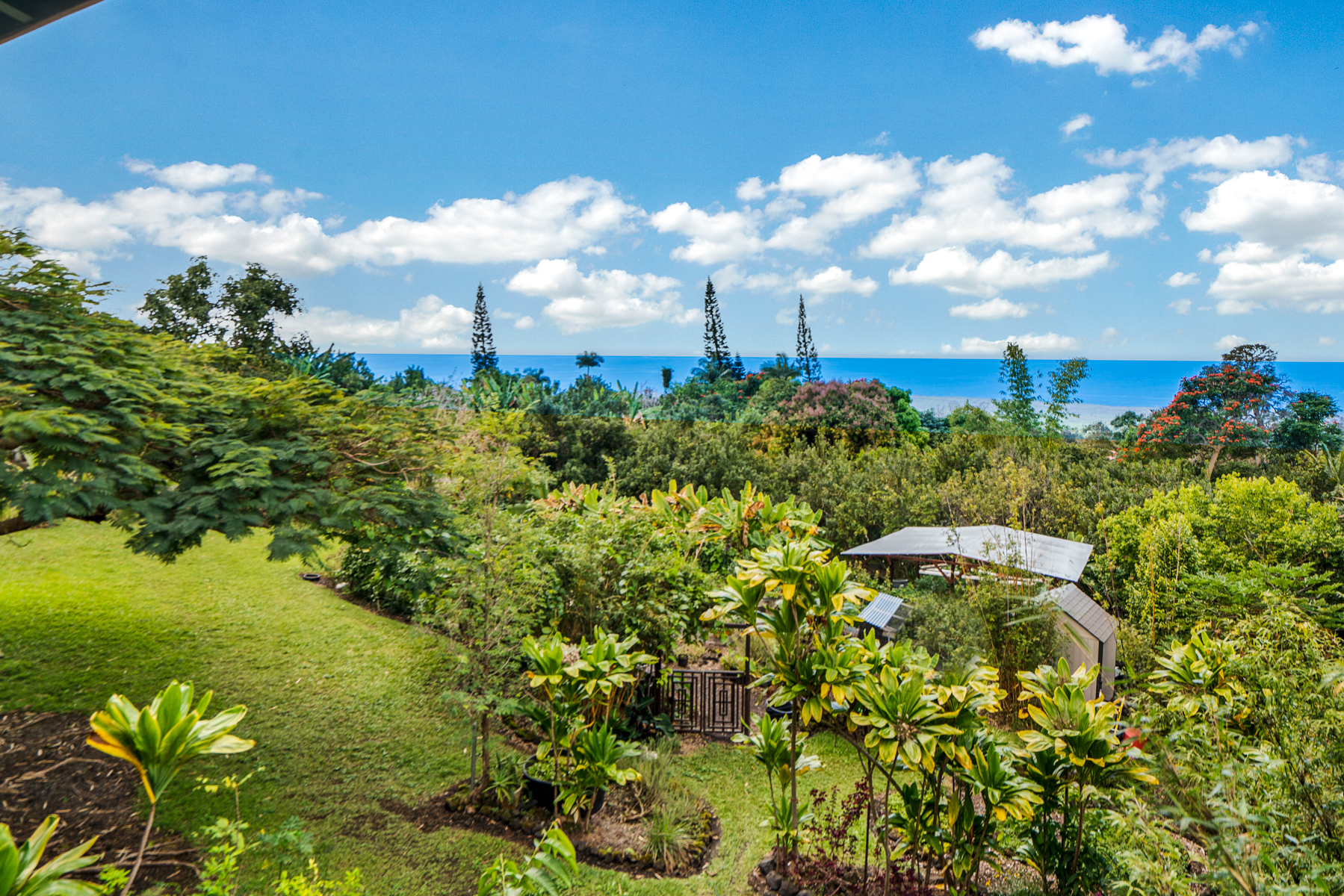 honaunau farm on big island hawaii