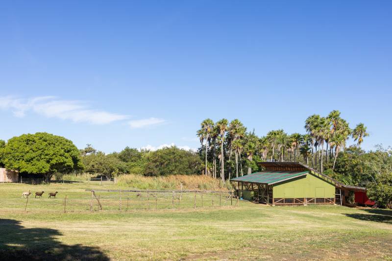 ag land with barn in hawaii