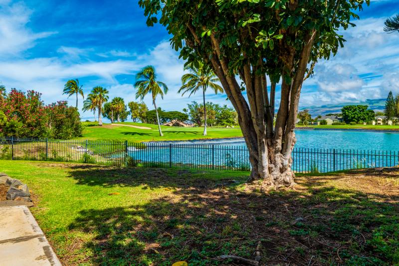 Elima Lani, Waikoloa Village