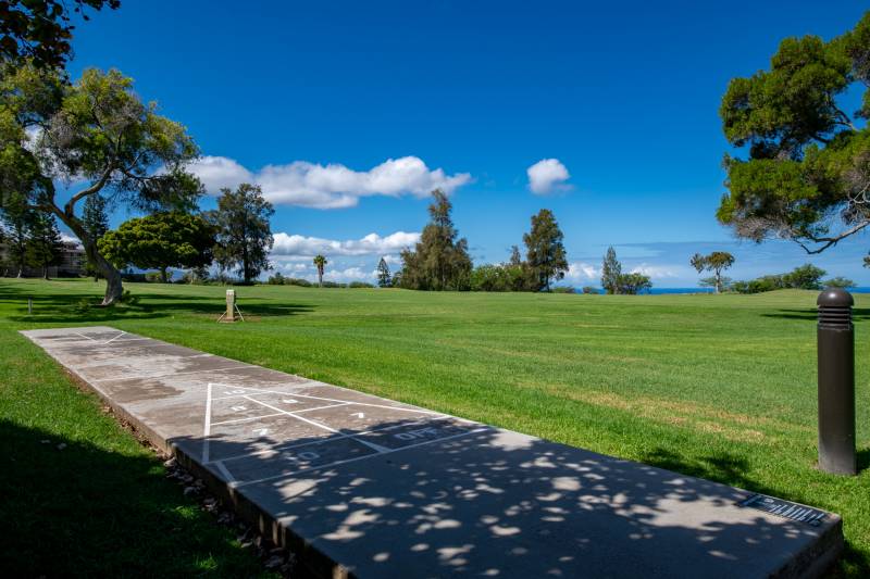 shuffleboard court