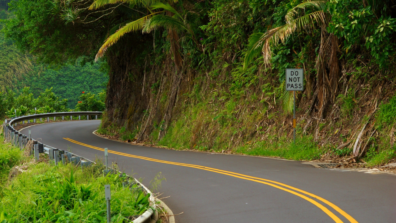 scenic road on maui