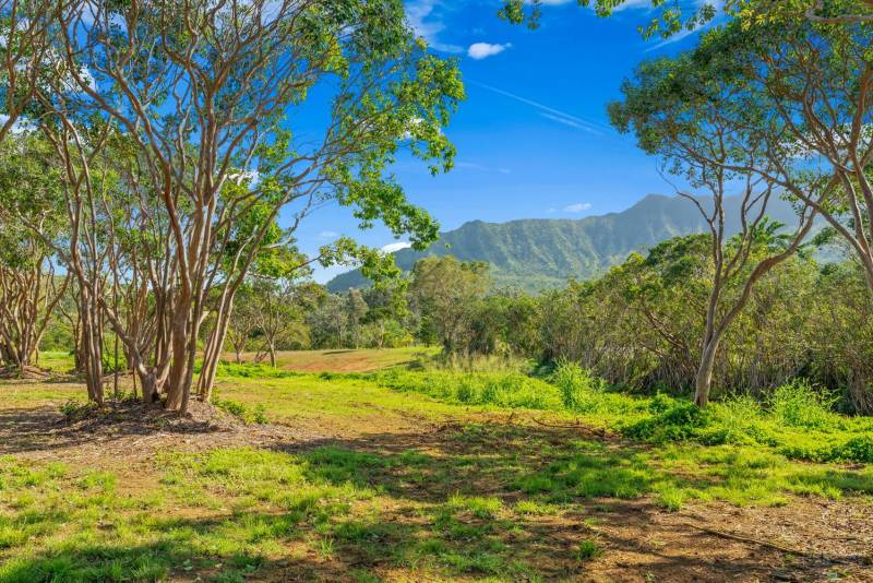 kauai land for sale