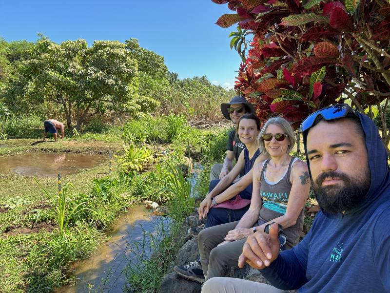 group of volunteers conserving hawaii wetlands