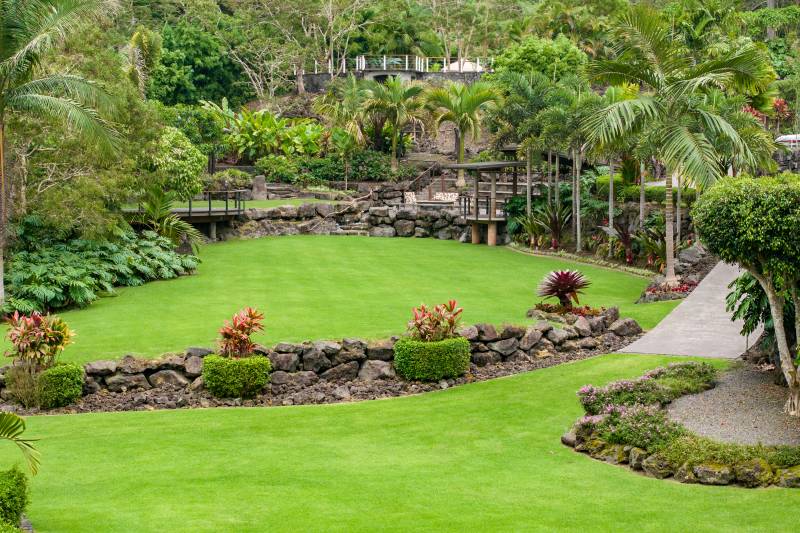 lushly landscaped backyard with tropical plants and lava rock