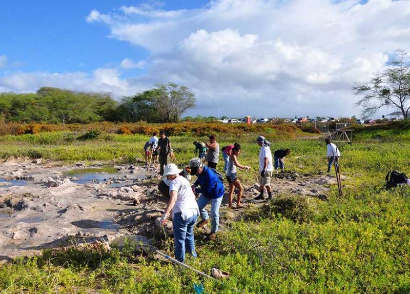 people cleaning up nature preserve area on oahu