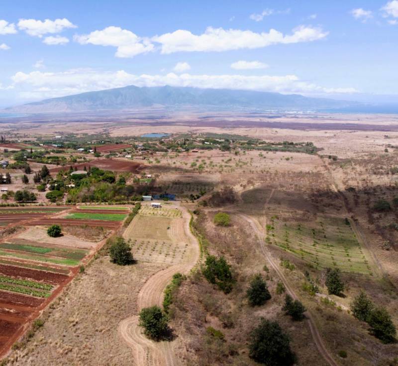 aerial view of farm in kula maui