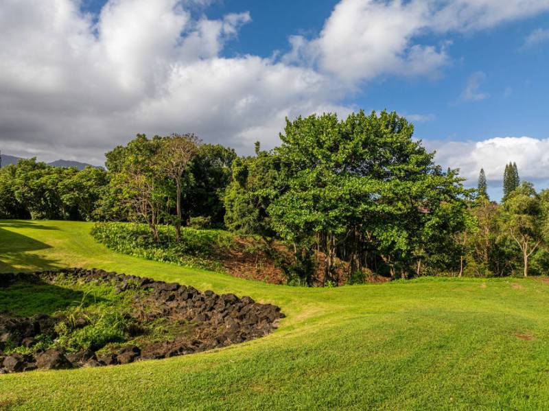 grassy sloped land on kauais north shore