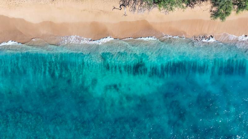 aerial view of beach