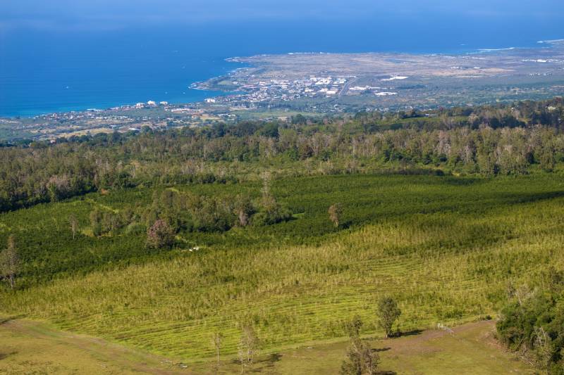 land for sale in kona hawaii