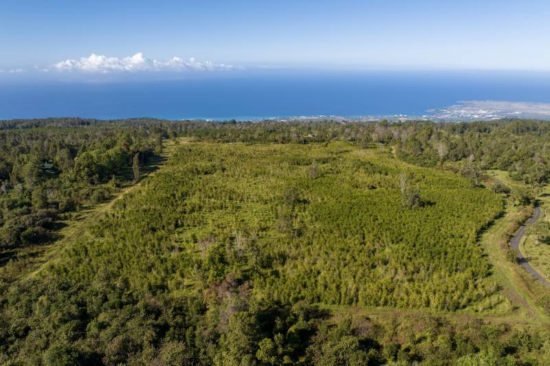 big island hawaii farm land for sale