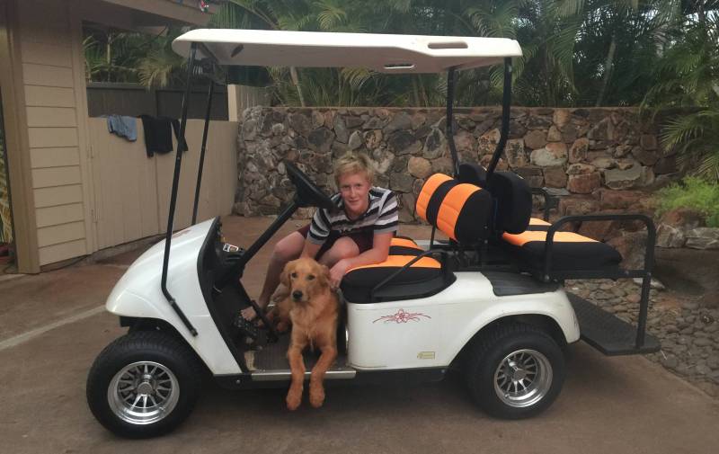 golf cart with golden retriever dog