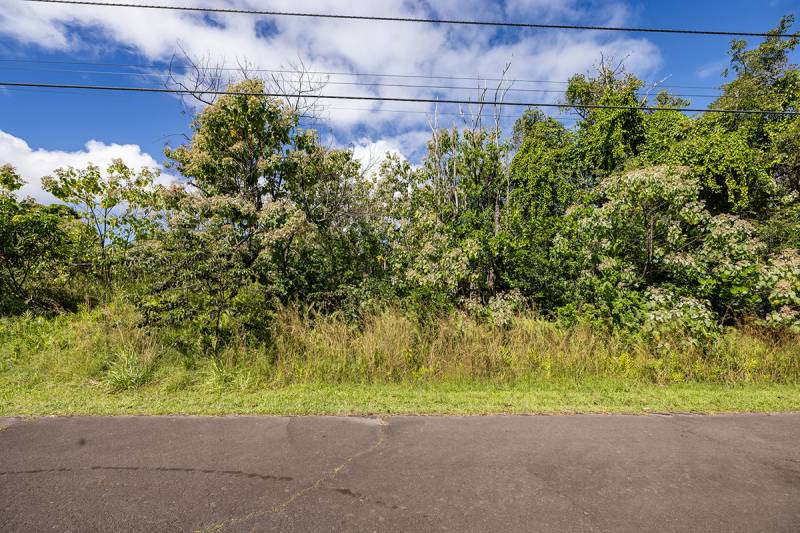 lot for sale near hilo hawaii