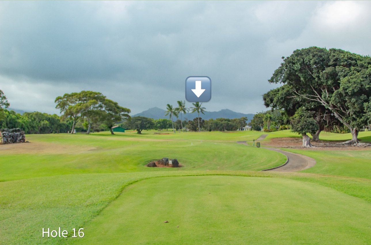 hole 16