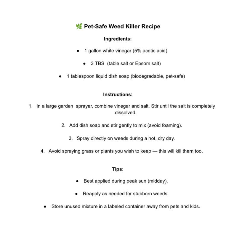 pet safe weed killer recipe