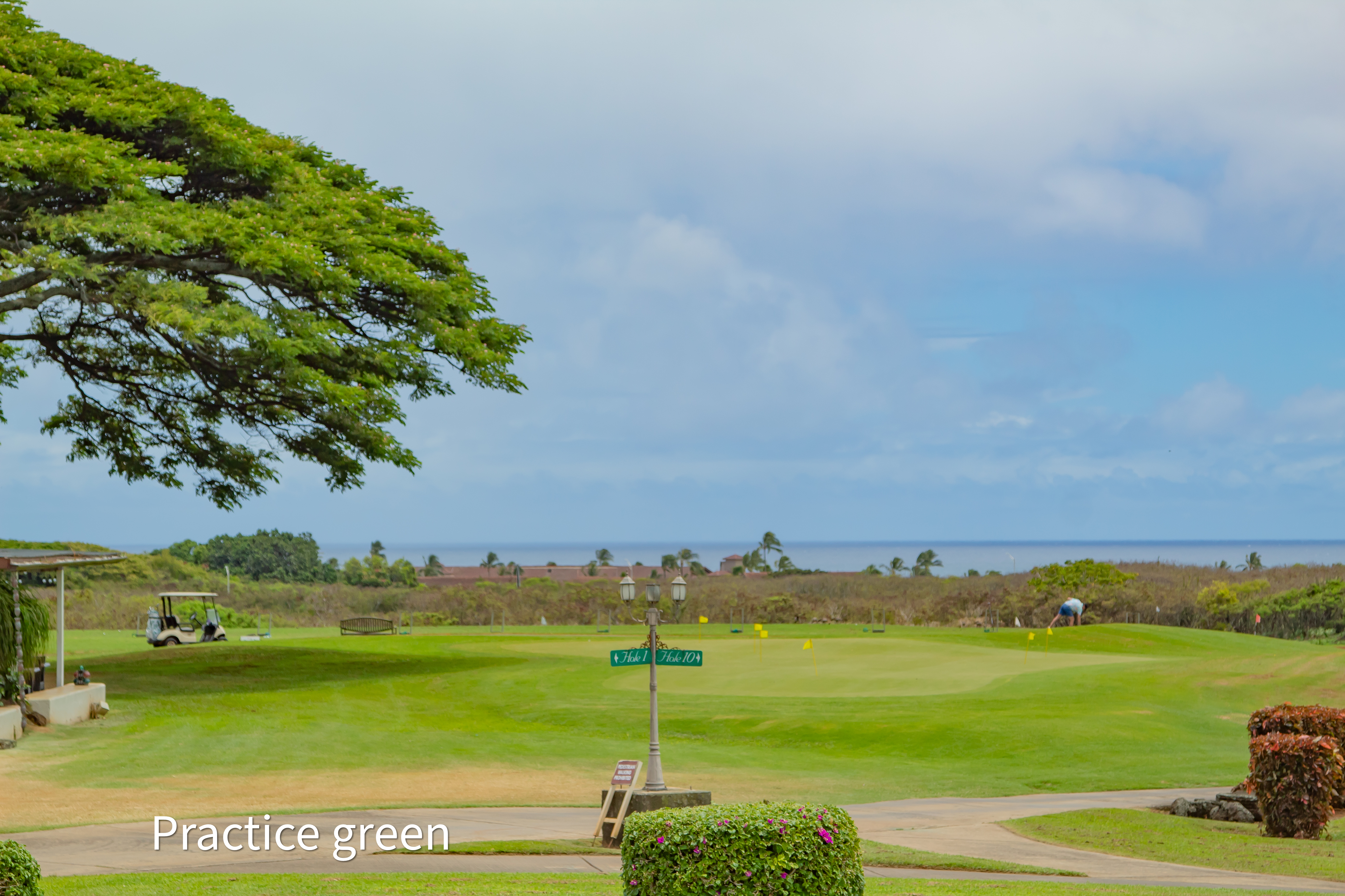 practice green
