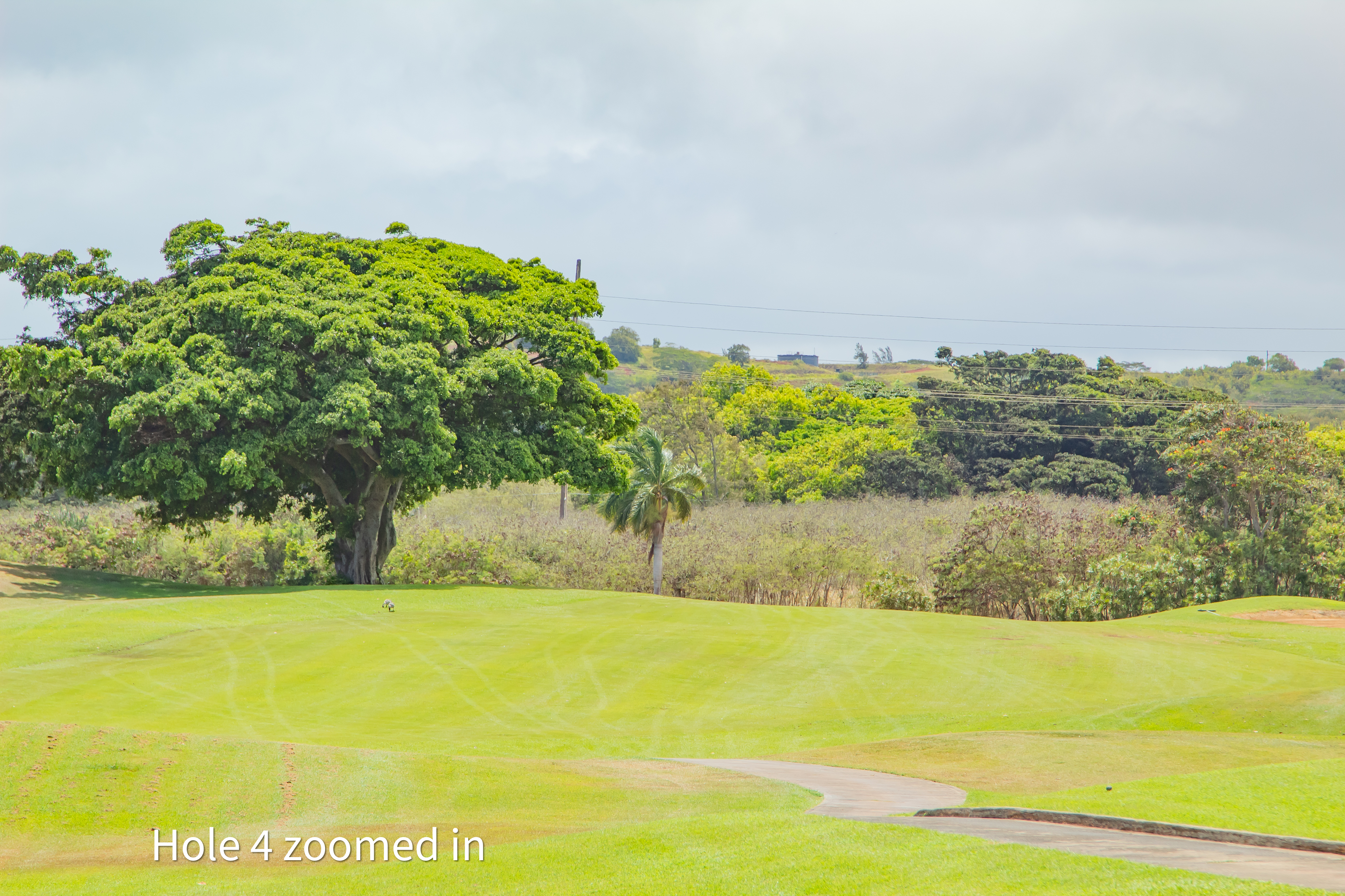 hole 4 zoomed in