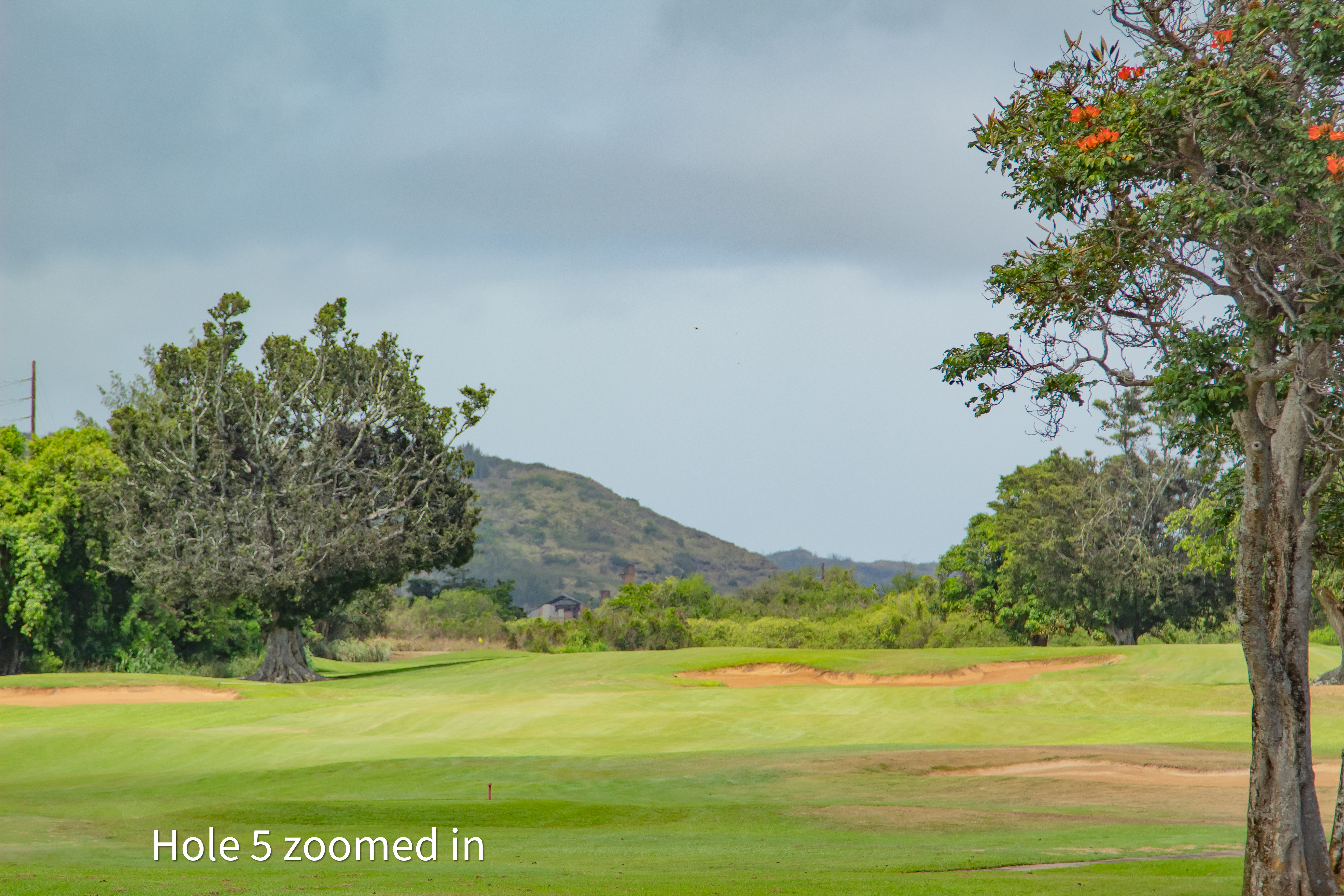 hole 5 zoomed in