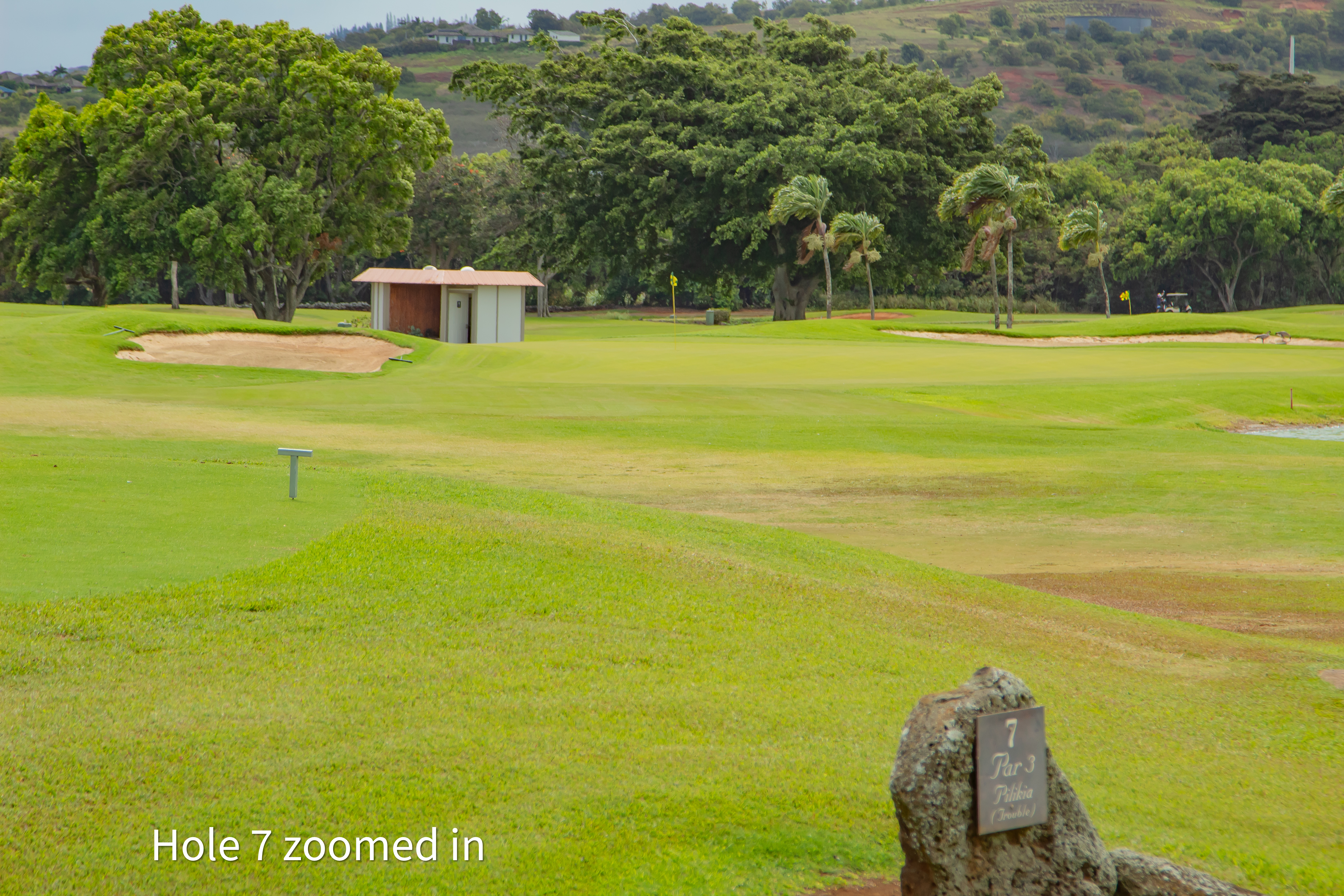 hole 7 zoomed in