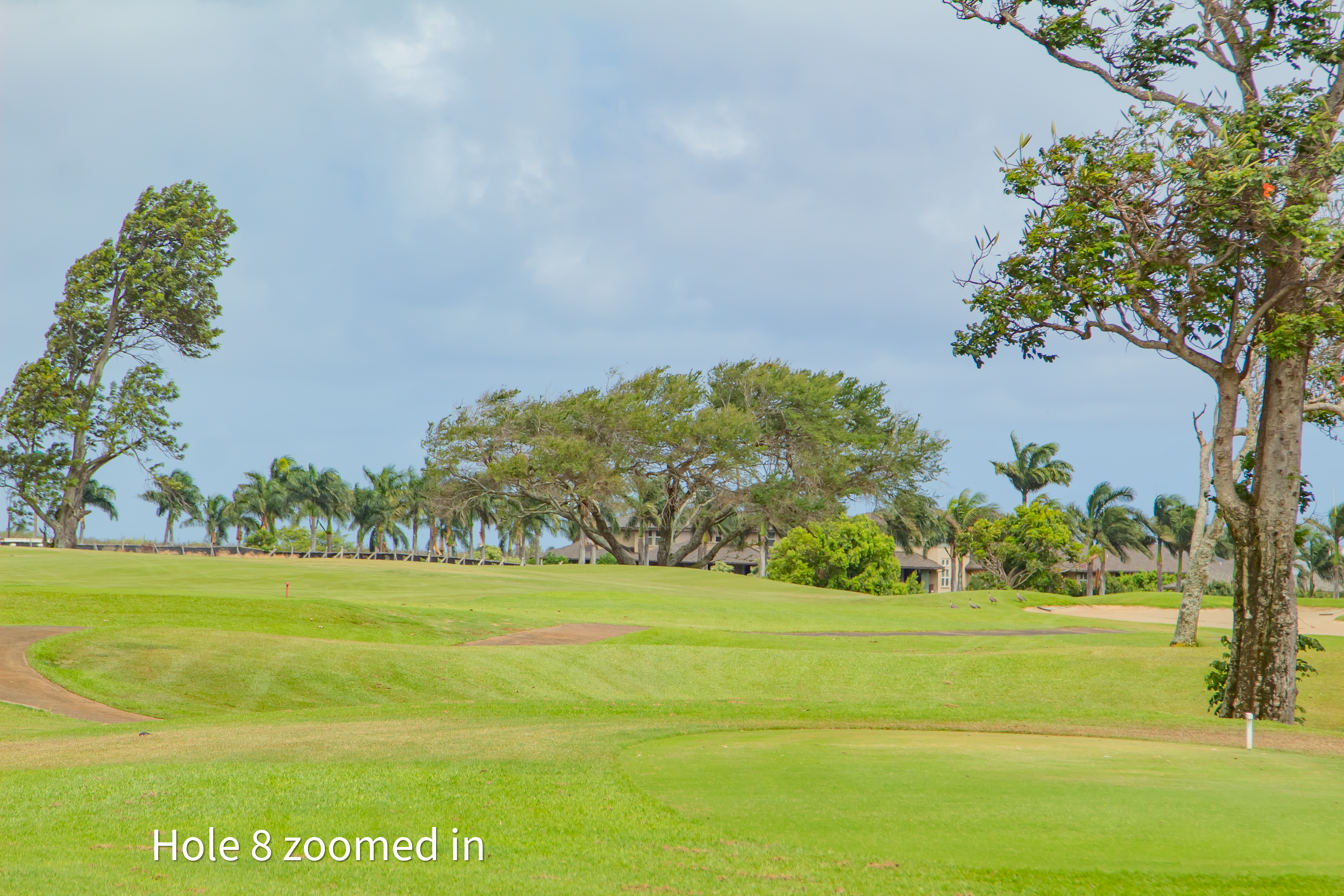 hole 8 zoomed in