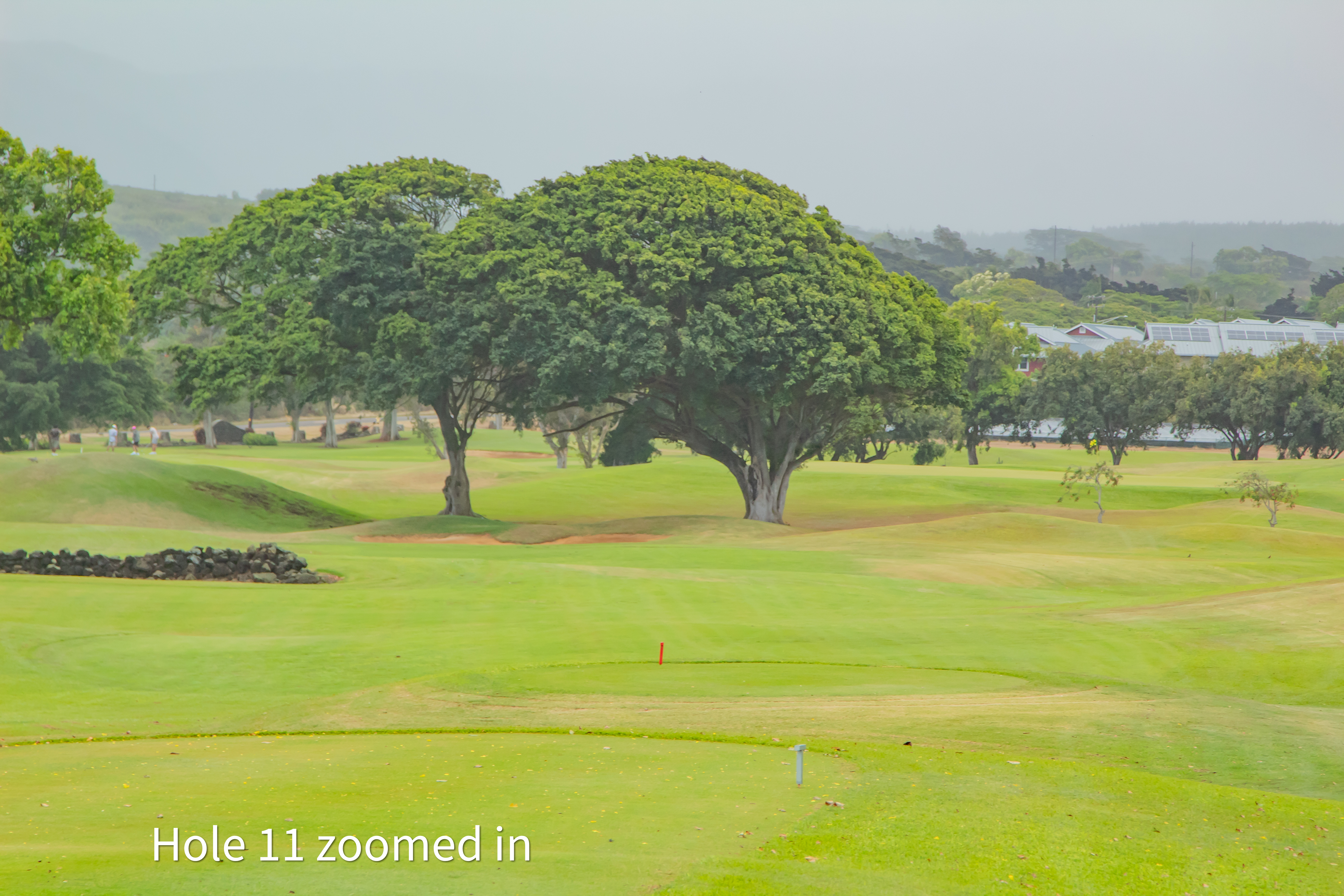 hole 11 zoomed in