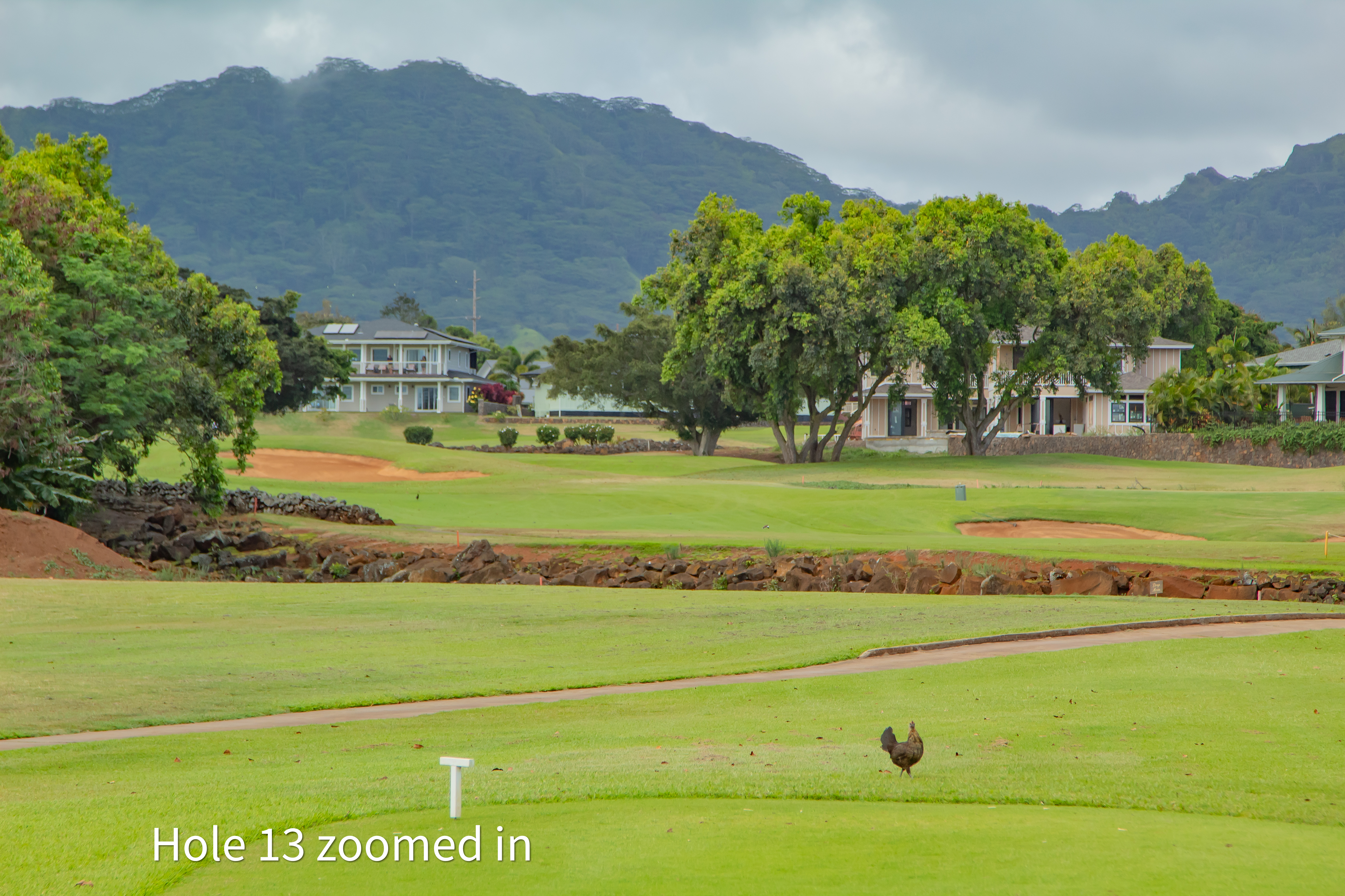 hole 13 zoomed in