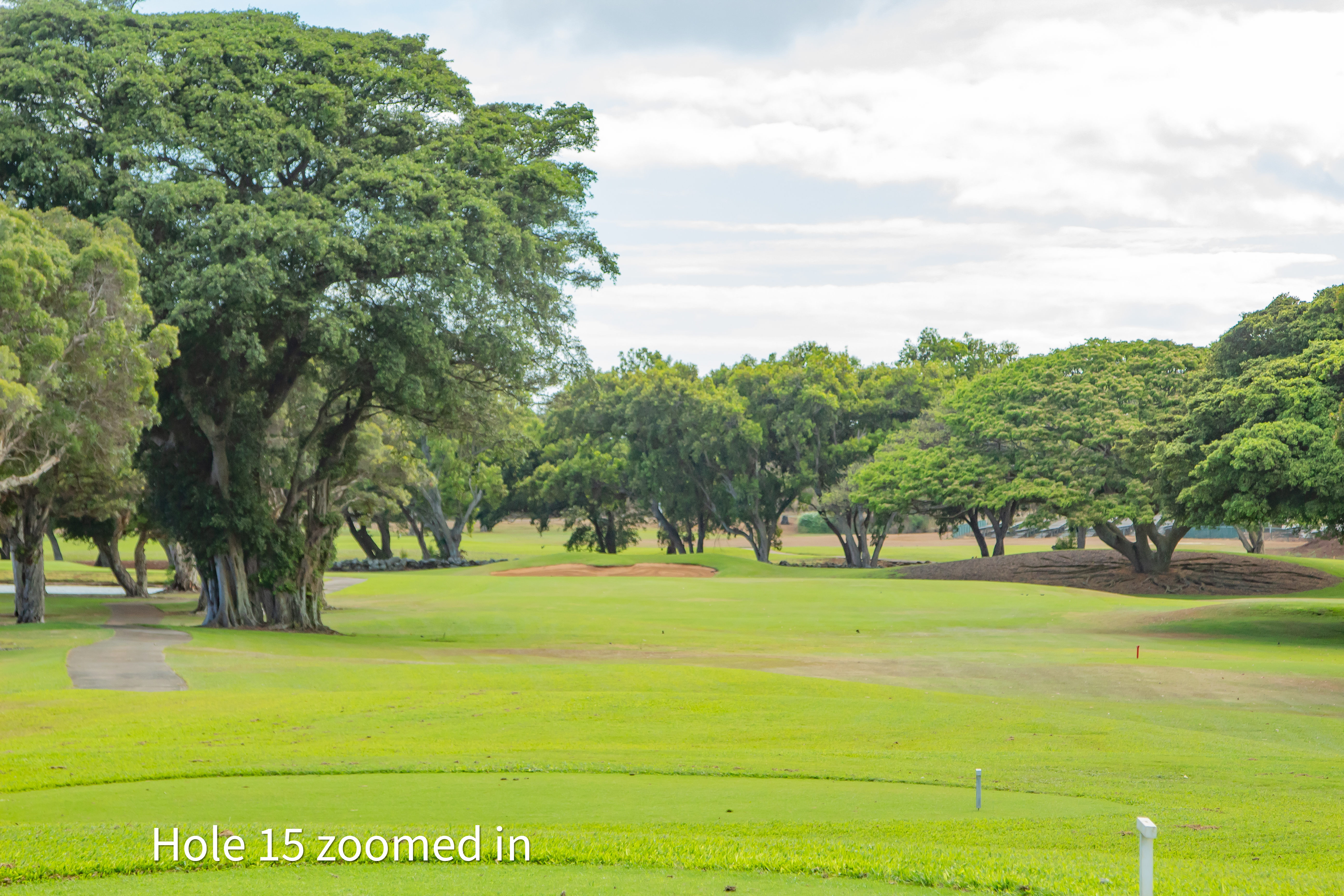hole 15 zoomed in