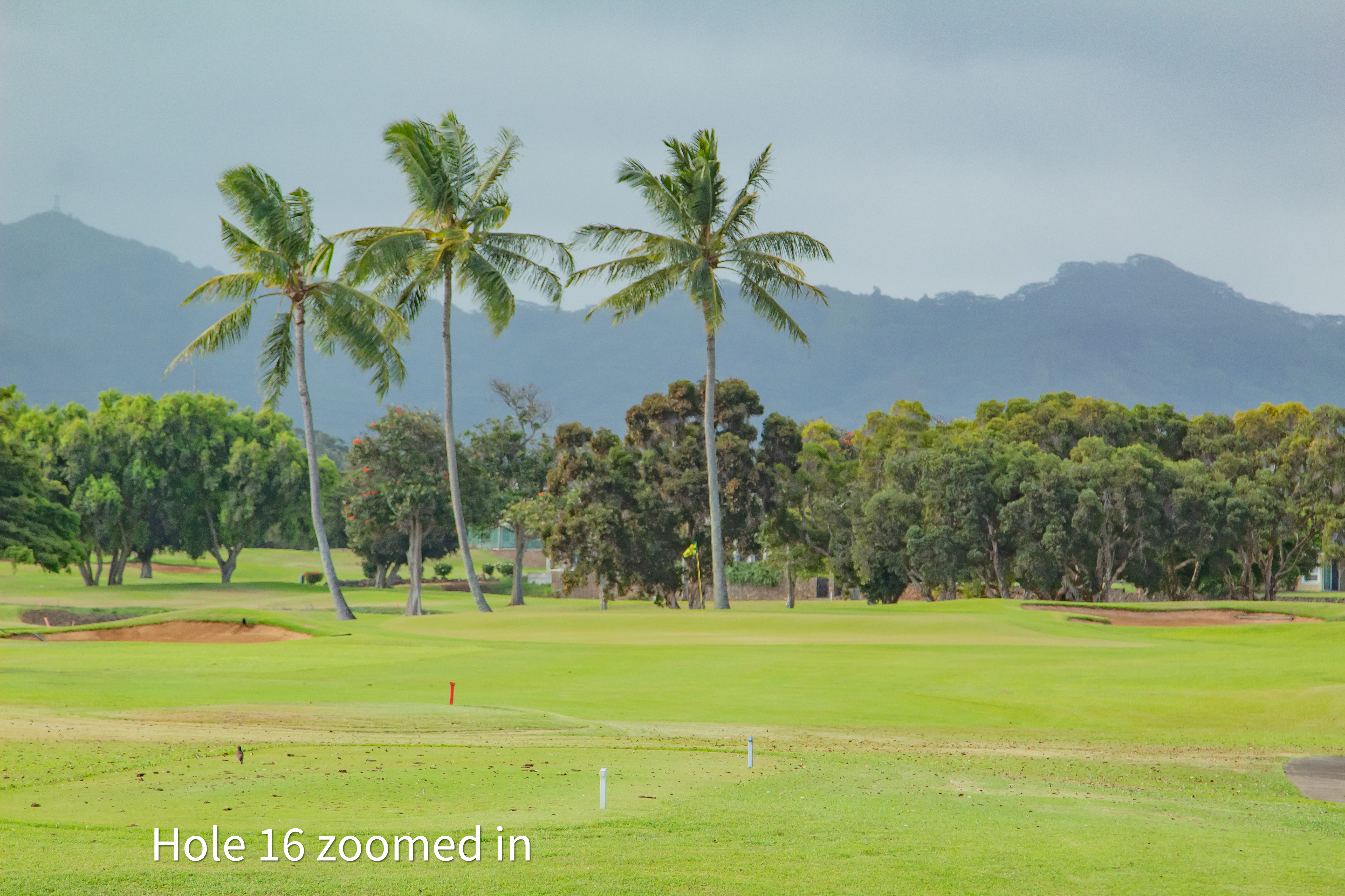 hole 16 zoomed in