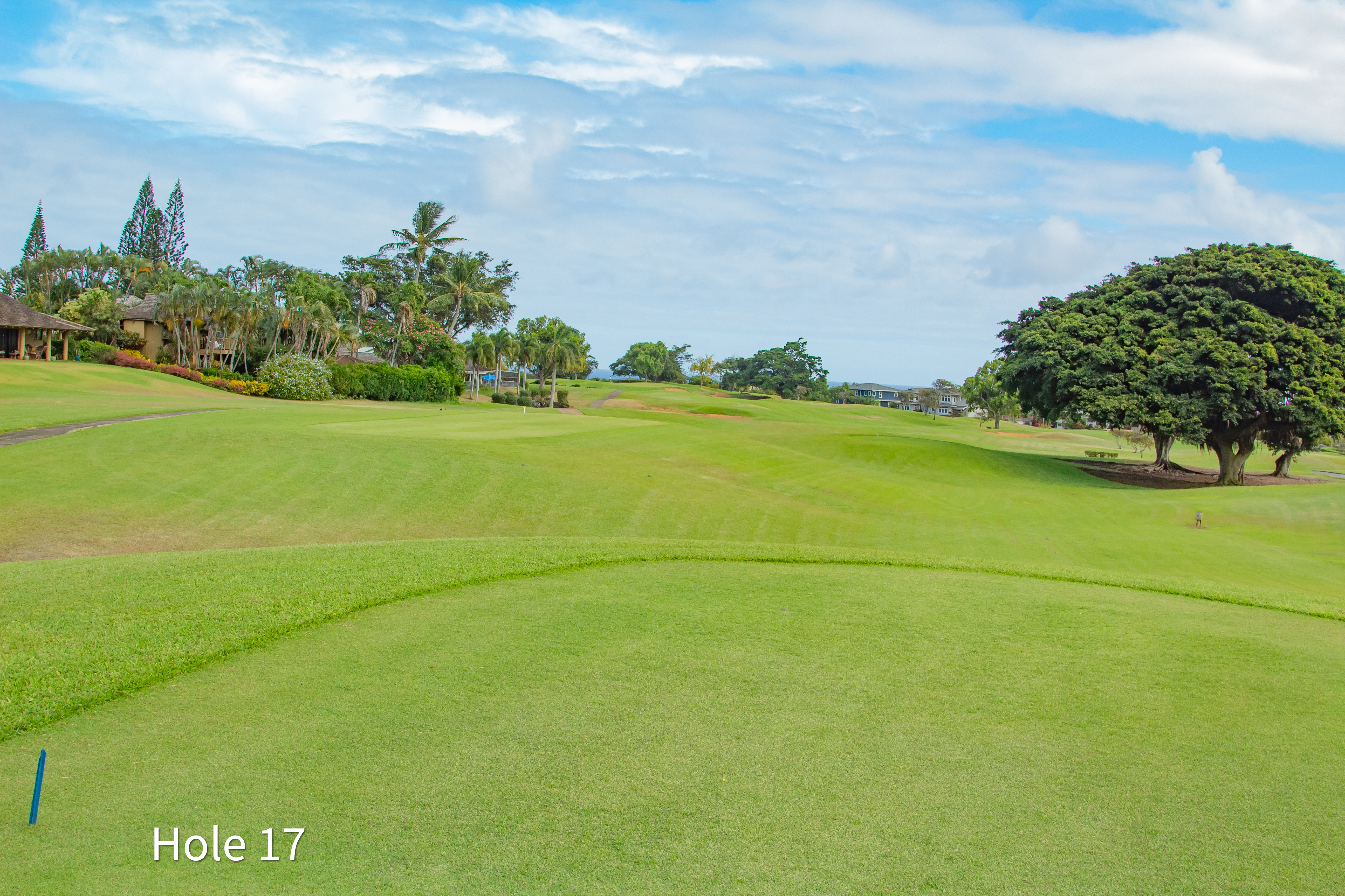 hole 17
