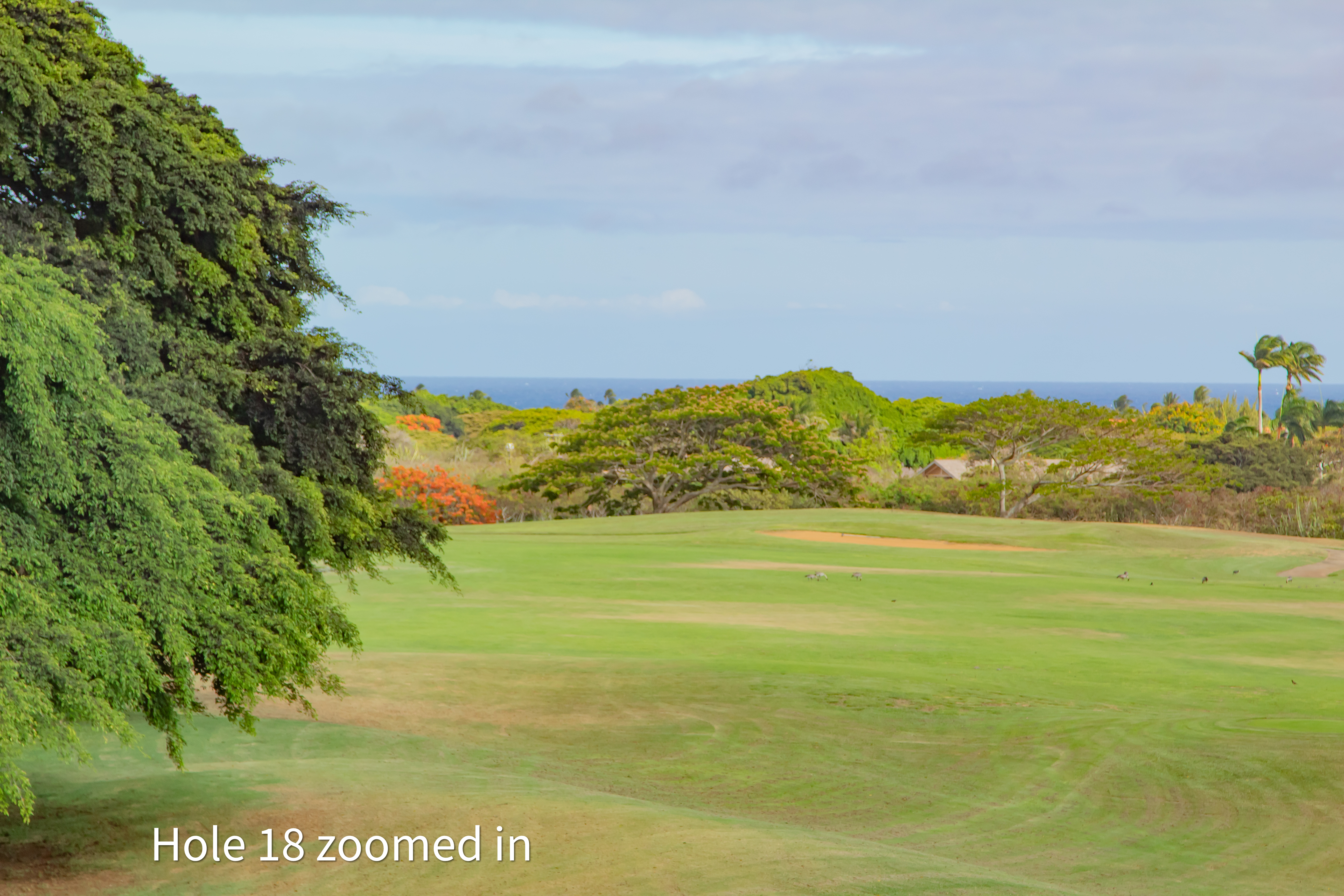 hole 18 zoomed in