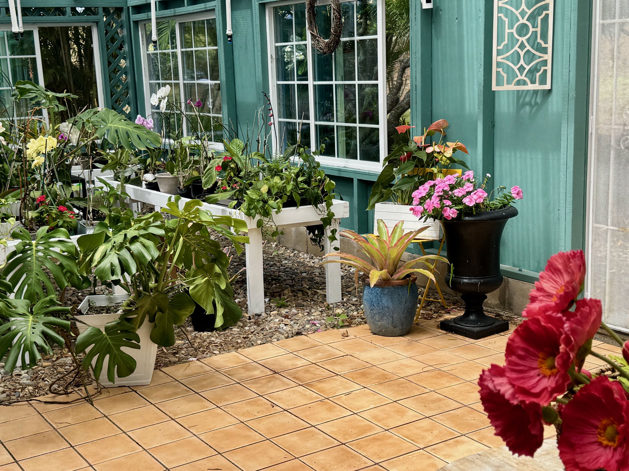 plants outside greenhouse at house for sale on big island hawaii