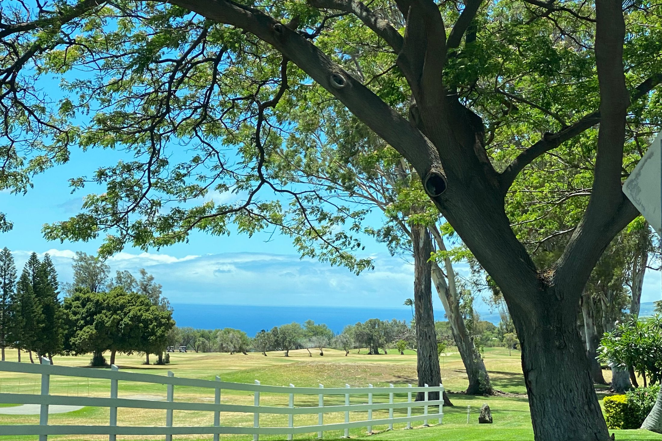 ワイコロアビレッジのゴルフ場と、その先に広がる美しい海