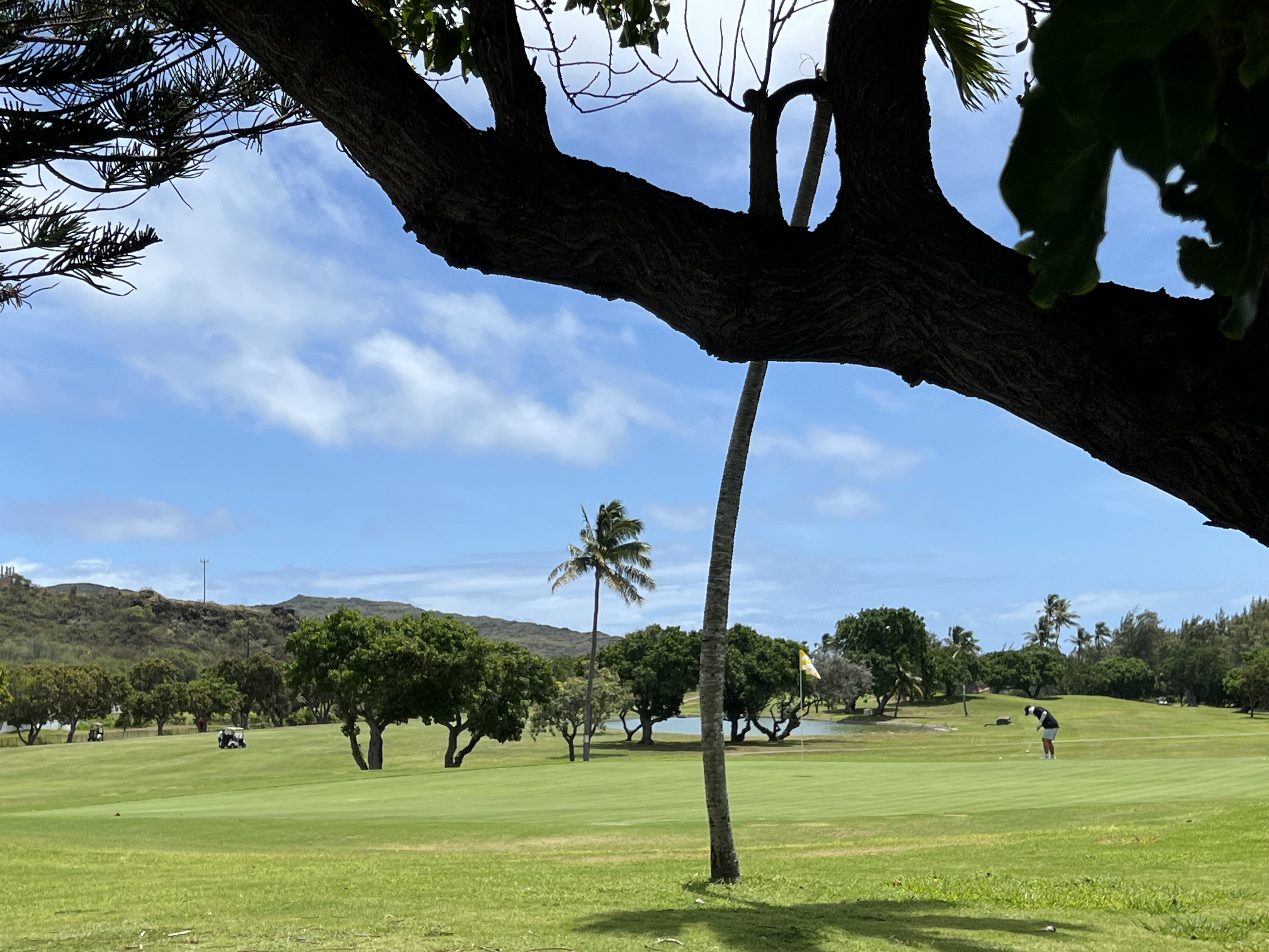Hawaii kai golf course