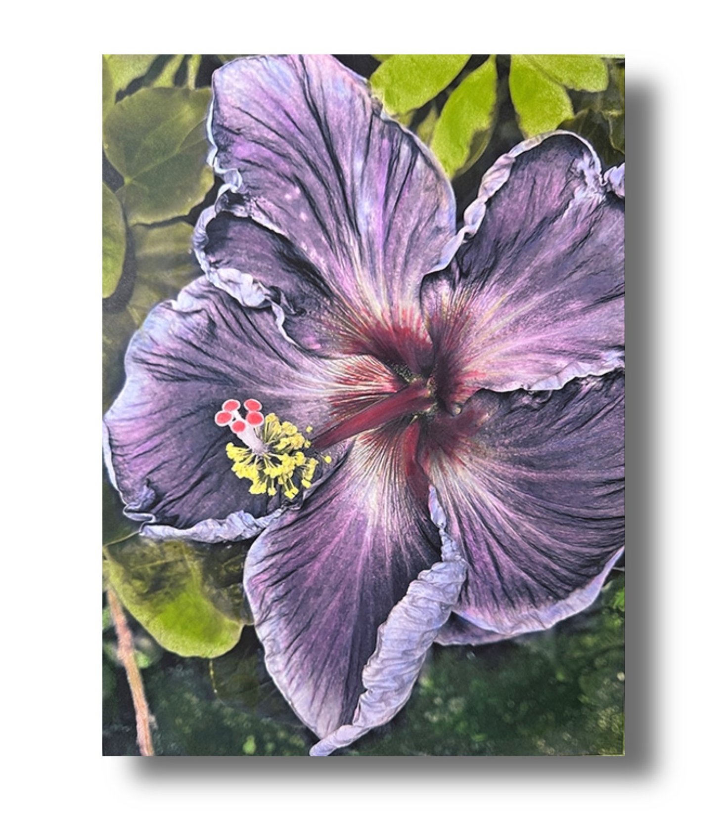 toni parras art gallery