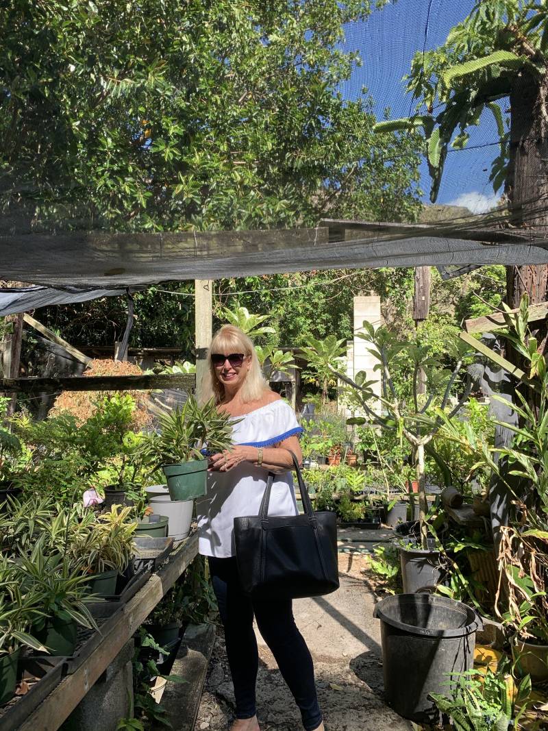 plant nursery in hawaii kai oahu