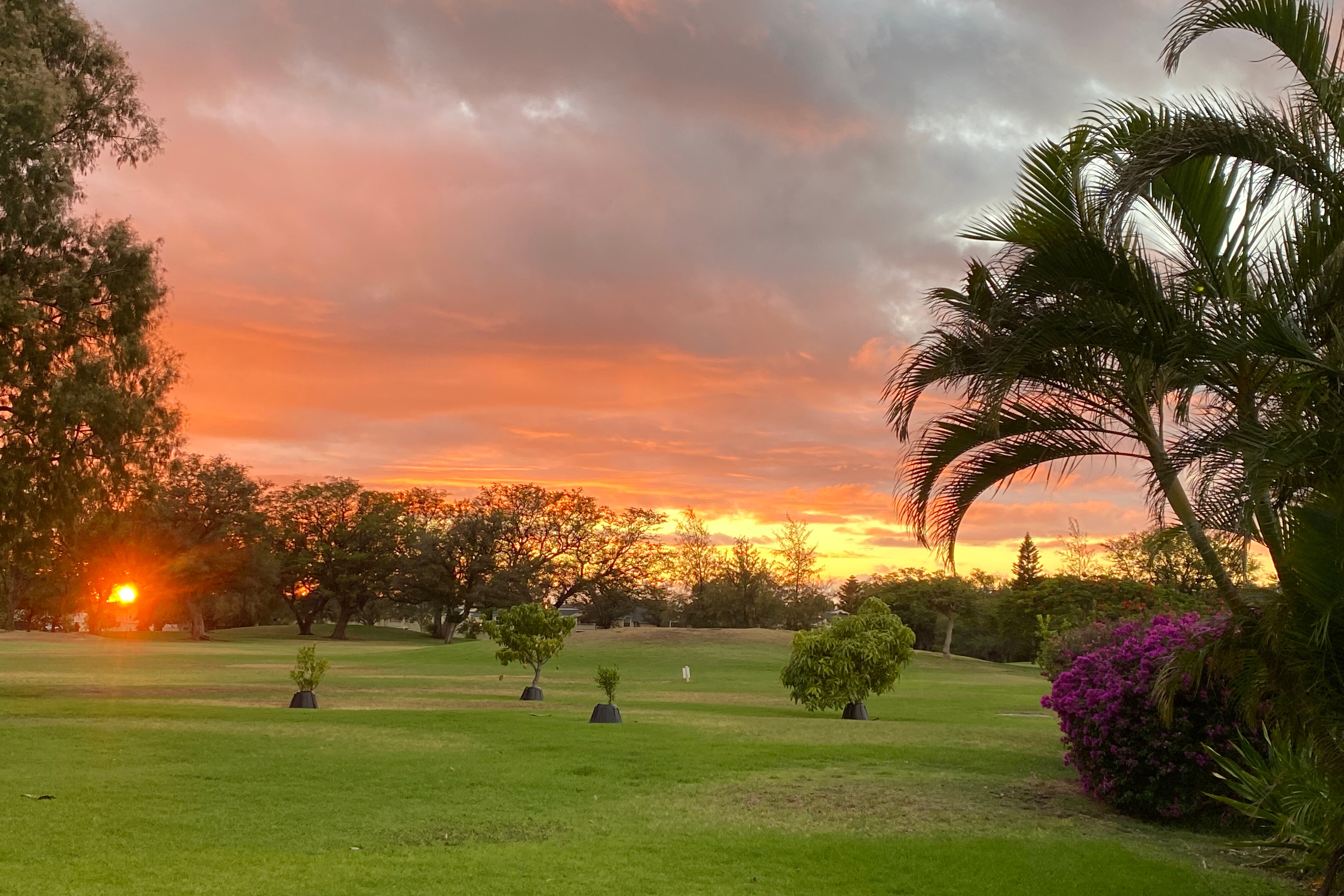 ハワイ島ワイコロアビレッジのゴルフコースに沈む夕日と、色づいた空の風景。南国の植物と芝が広がるリゾートのような景観