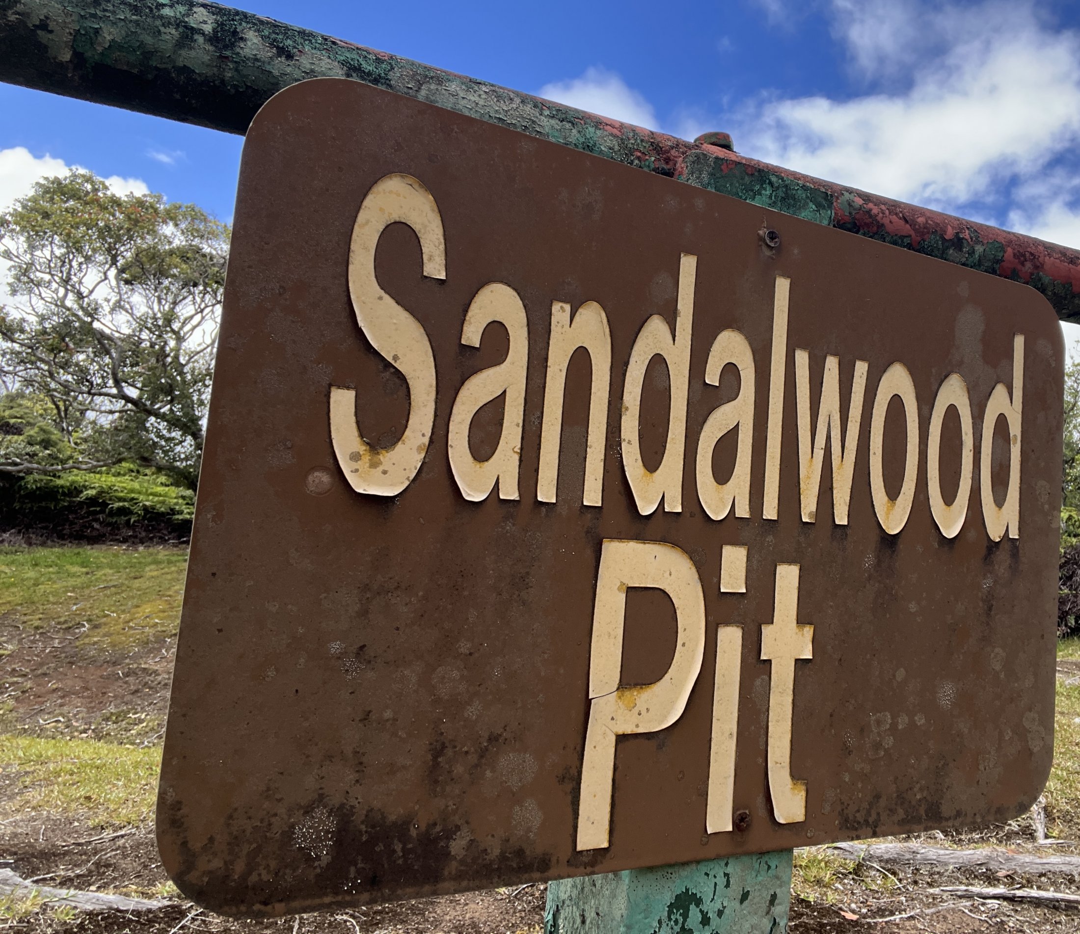 sandalwood pit