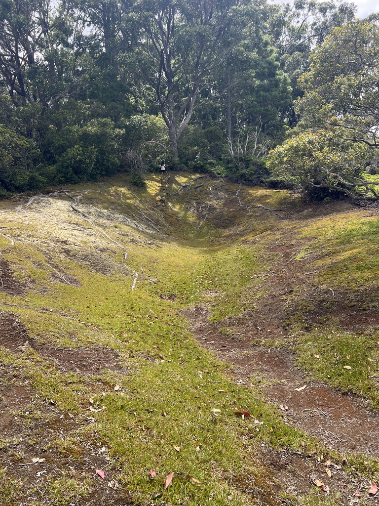 Molokai Forest Reserve