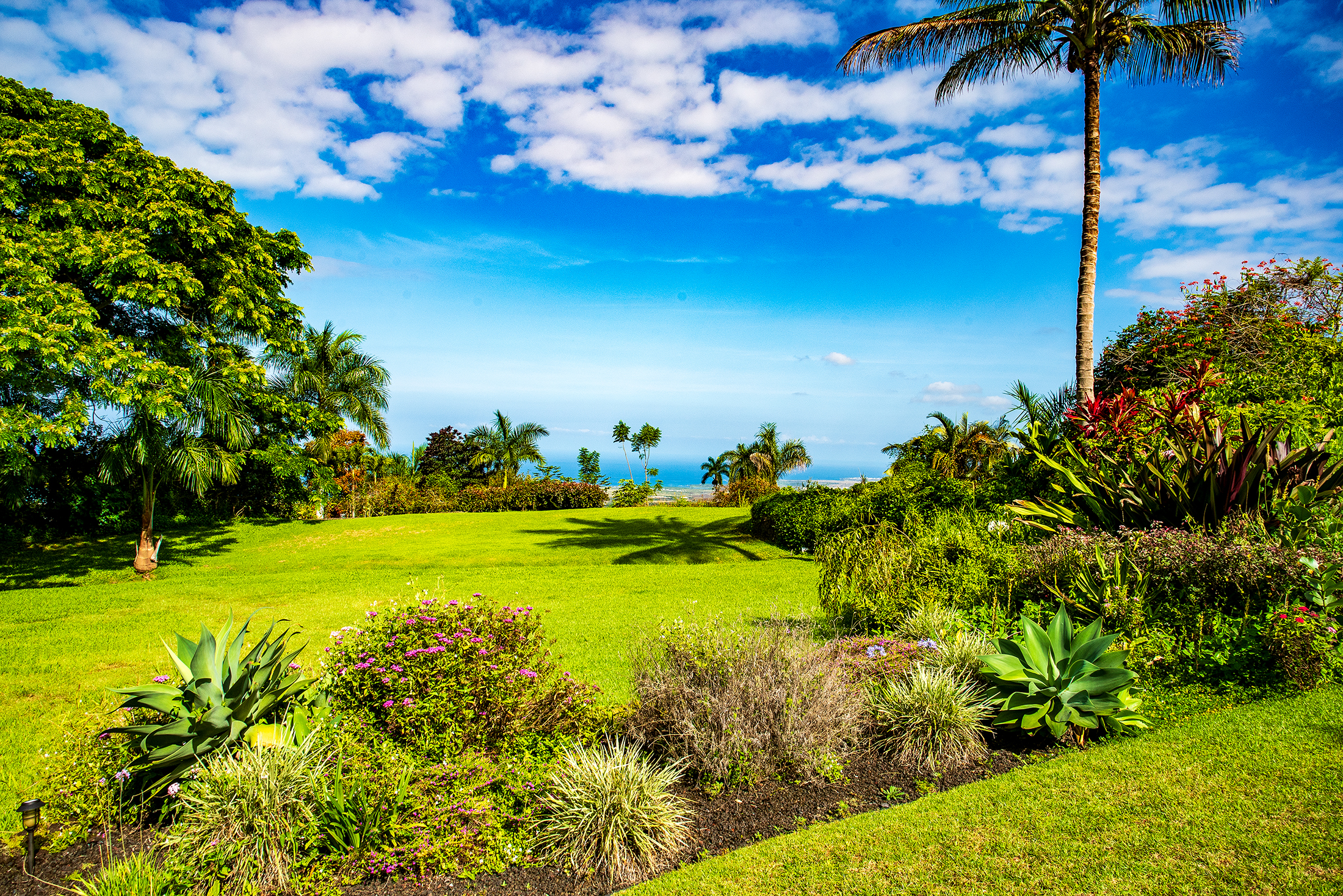 Beautiful lawn, landscaping, ocean view, bright blue sky