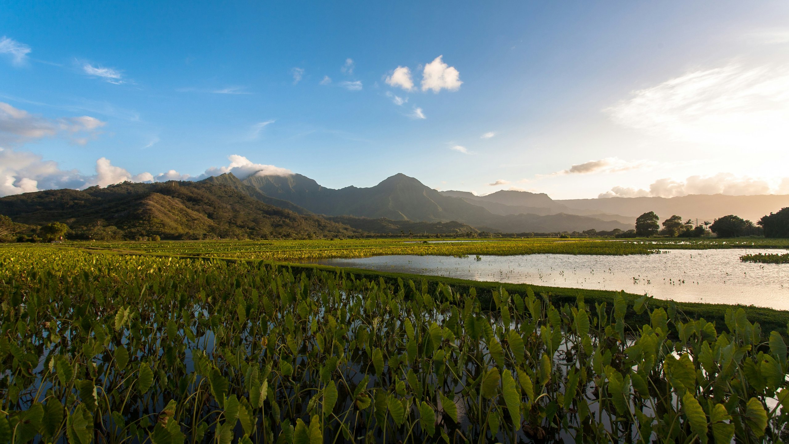 Kauai Iconic Hanalei Bay