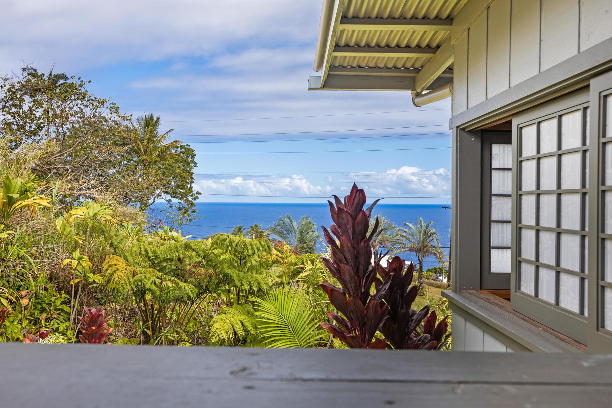 ocean view home for sale hamakua coast